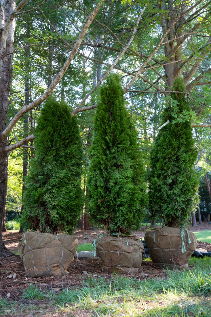 Landscaping in progress